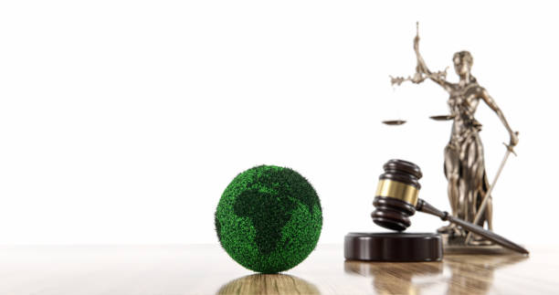 Environmental Litigation: Protecting Your Business in Court